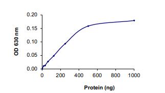 The specific activity of PP2Aa/PPP2R1A protein Complex was determined to be 115 nmol phosphate released/min/mg.